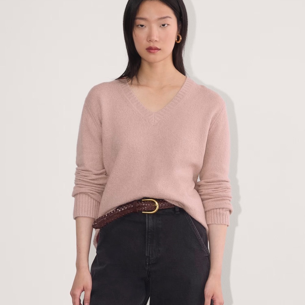 Everlane Women's V-Neck Sweater in Plush Cotton